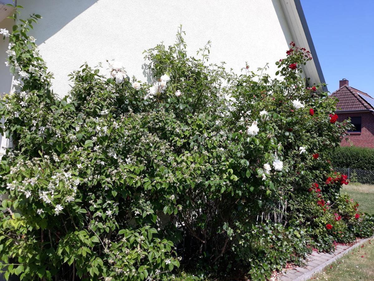 Ferienwohnung Ott Amelinghausen Exterior foto